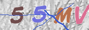 CAPTCHA 驗證圖片