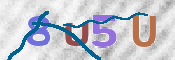 CAPTCHA 驗證圖片