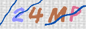 CAPTCHA 驗證圖片