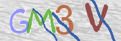 CAPTCHA 驗證圖片