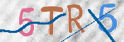 CAPTCHA 驗證圖片