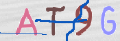 CAPTCHA 驗證圖片