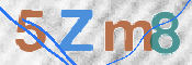CAPTCHA 驗證圖片