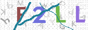 CAPTCHA 驗證圖片