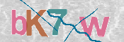 CAPTCHA 驗證圖片