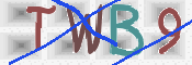 CAPTCHA 驗證圖片