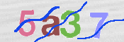 CAPTCHA 驗證圖片