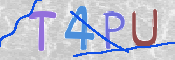 CAPTCHA 驗證圖片