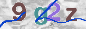 CAPTCHA 驗證圖片
