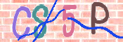 CAPTCHA 驗證圖片