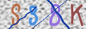 CAPTCHA 驗證圖片