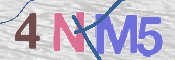 CAPTCHA 驗證圖片
