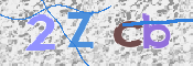CAPTCHA 驗證圖片