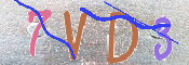 CAPTCHA 驗證圖片