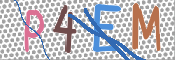 CAPTCHA 驗證圖片