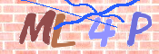 CAPTCHA 驗證圖片