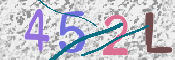 CAPTCHA 驗證圖片