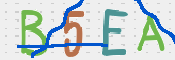 CAPTCHA 驗證圖片