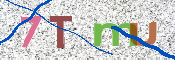 CAPTCHA 驗證圖片