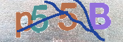 CAPTCHA 驗證圖片