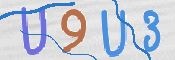 CAPTCHA 驗證圖片