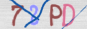 CAPTCHA 驗證圖片