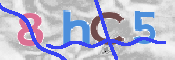 CAPTCHA 驗證圖片