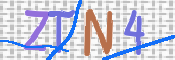 CAPTCHA 驗證圖片