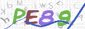CAPTCHA 驗證圖片