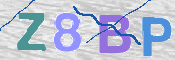 CAPTCHA 驗證圖片