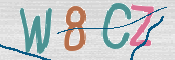 CAPTCHA 驗證圖片