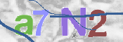 CAPTCHA 驗證圖片