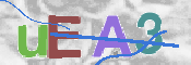 CAPTCHA 驗證圖片
