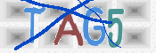 CAPTCHA 驗證圖片