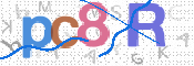 CAPTCHA 驗證圖片