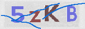 CAPTCHA 驗證圖片