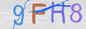 CAPTCHA 驗證圖片