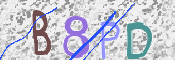 CAPTCHA 驗證圖片