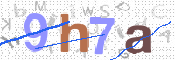 CAPTCHA 驗證圖片
