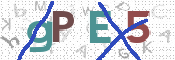 CAPTCHA 驗證圖片