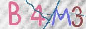 CAPTCHA 驗證圖片