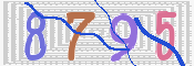 CAPTCHA 驗證圖片