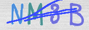 CAPTCHA 驗證圖片