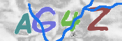 CAPTCHA 驗證圖片