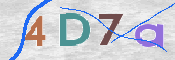 CAPTCHA 驗證圖片