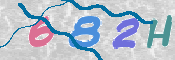 CAPTCHA 驗證圖片