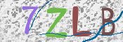 CAPTCHA 驗證圖片