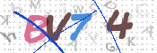 CAPTCHA 驗證圖片