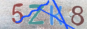 CAPTCHA 驗證圖片