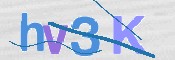 CAPTCHA 驗證圖片